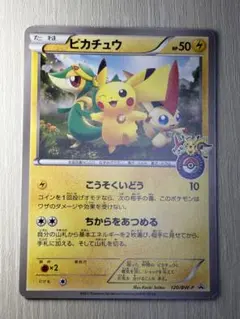 2026年最新】120/BW-P ピカチュウの人気アイテム - メルカリ