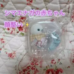シルバニアファミリー キラキラくじ2025 G賞 シマエナガの赤ちゃん