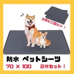 ２枚セット　洗えるペットマット　ペットシーツ トイレシート 防水 犬 猫　LLのサムネイル