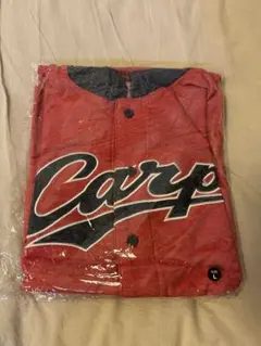 Item thumbnail for item fdad204b-4ef9-4081-9641-712051fd7842