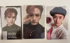 straykids スキズ トレカ ODDINARY リノ 封入