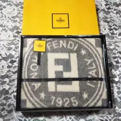 FENDI フェンディバスタオル レアデザイン ロゴ グレーチェックのサムネイル