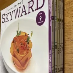 SKYWARD 5冊