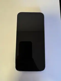 iPhone12 promax 本体