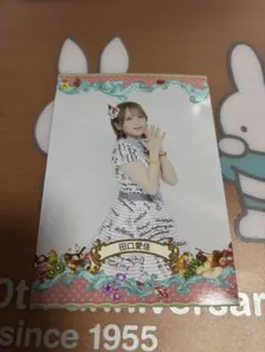 AKB48 田口愛佳　生写真　名残り桜　京都会場