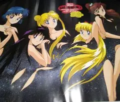 セーラームーン ミュージアム ブラックレディ オーロラポスター - メルカリ