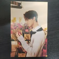 SEVENTEEN　YourChoice　ポストカード　ディエイト