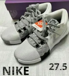 レブロン バスケットボール