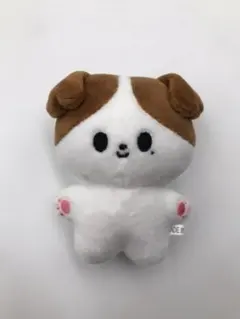 NCT ジョンウ 10cm ぬいぐるみ マスター nct127 ジョンウ ぬいぐるみ 10cm マスタニム マスタ 정우 쪙우の通販