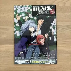 DARKER THAN BLACK-流星の双子(ジェミニ)-VISUAL FA…