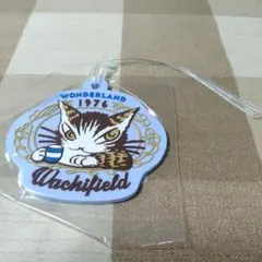 新品 ナンバーアクセサリーボルト キャップ うでぐみ わちふぃーるど