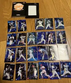 Item thumbnail for item 723f5a2b-22d1-4d5f-9ee4-6d869276590e