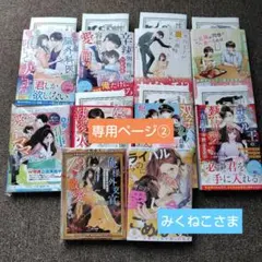 みくねこさま専用②