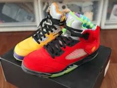 AIR JORDAN 5 RETRO SE What The 28.5