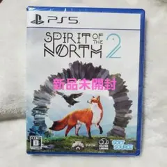PS5 Spirit of the North2