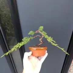 ゆーすけ様 リクエスト 3点 まとめ商品