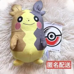 2026年最新】Pokemon 種類：ゲーム ぬいぐるみ本体の人気アイテム