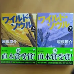 垣根涼介著「ワイルド・ソウル 」上下巻セット
