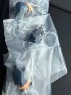 ハイキュー　つながリングチャーム　3点セット