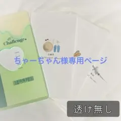 ちゃーちゃんさま専用ページ