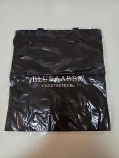 Item thumbnail for item 625cd0a1-dace-4c79-baa9-83b753d93bb5