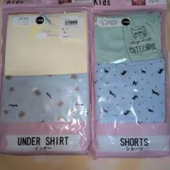 Item thumbnail for item e008b287-0d3d-49aa-9161-d22c274309b2