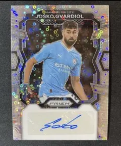 ベン・チルウェル チェルシー サインカード panini soccer - メルカリ