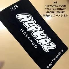 &TEAM [LOGO MERCH] BIG JACQUARD TOWEL - メルカリ