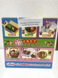 J姐様専用】リーメント こびとづかん 立体マグネット 全6種 - メルカリ