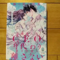 TL小説 海に沈む深愛 記憶喪失のCEOは身代わり妻を今夜も離さない 石田累