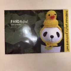 PANDA 1/2 / 上海へ行くつもりじゃなかった 初回盤 藤岡みなみ - メルカリ