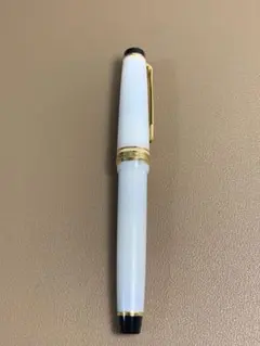 プラチナ万年筆 文具館コバヤシオリジナル 御前桜 EF - メルカリ