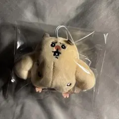 Item thumbnail for item 8bd348d1-1531-424a-9843-ea915f5b15a9