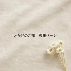 とかげのこ　購入前にプロフ要確認願います様 リクエスト 3点 まとめ商品