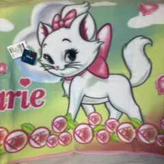 Item thumbnail for item fe9b22a7-ce3b-40a8-aee2-87afc77953f2