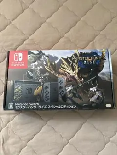 Nintendo Switch モンスターハンターライズ