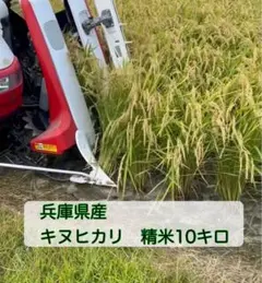 令和7年新米】兵庫県淡路島産キヌヒカリ精米後15キロ(低農薬白米)農家 
