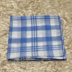 Item thumbnail for item 72a0034a-9228-4a04-bb8f-9a9abbba62a5