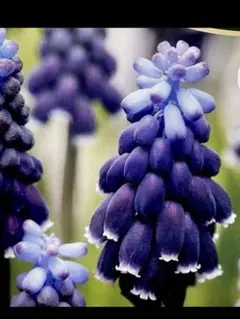 ぴろ！プロフ読んでください！様 リクエスト 3点 まとめ商品