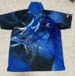 Item thumbnail for item 6826abd9-685c-4c28-8557-d615e39f8e27