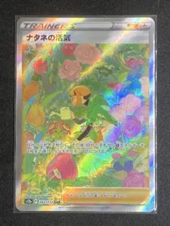 2025年最新】ナタネの活気 sarの人気アイテム - メルカリ