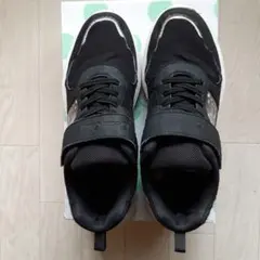 Item thumbnail for item c2f14be4-b26a-44bc-a6d8-f3315653512d