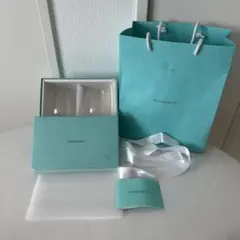 新品[TIFFANY & Co.] ティファニー シルバージュエリー ケアキット