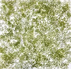 Item thumbnail for item 60d63c12-5ecc-4e64-b972-80b6add6968e