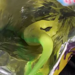 デアゴスティーニ　恐竜アタックアンドコ　ギガノトサウルス　未使用