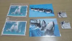 鴨川シーワールド ポストカード２枚、マグネット２個セット(おまけ付き)