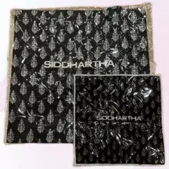 Item thumbnail for item 3c6c606a-6466-4e97-866c-5e1a93260efe