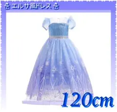 プリンセス ドレス エルサ風 120cm お誕生日 記念日 ディズニー 雪の結晶