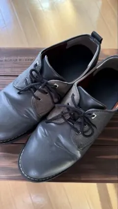 Item thumbnail for item 1795c5c0-aba4-434d-a053-e063633193c5