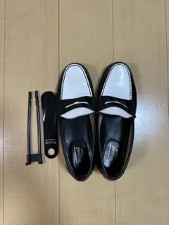 Item thumbnail for item 156f17c6-183a-4898-94a7-71af4fd1c084